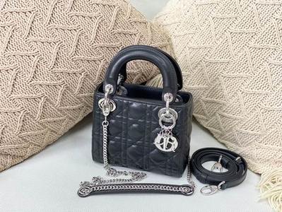 DIOR Handbags 402